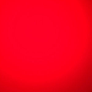 Meet your Posher, Damarys